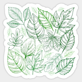 Green Leafy Pattern Sticker